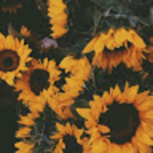 Meet your Posher, Shyann